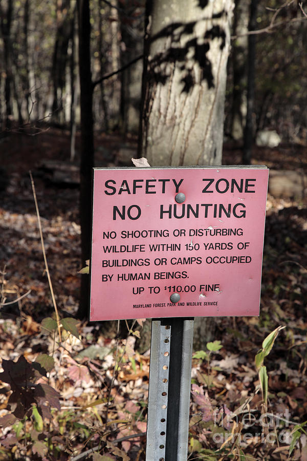 Hunting Safety Zone Photograph by William Kuta