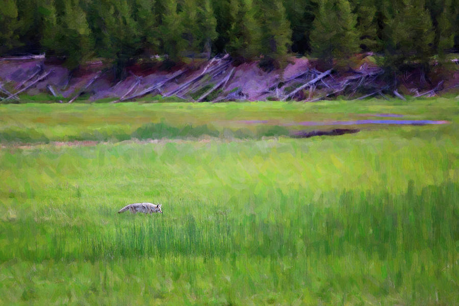 Hunting by Sue Collura Hunting by Sue Collura