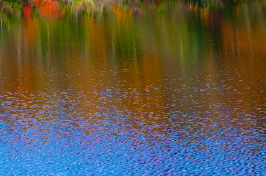 Huntington Autumn Reflection Photograph by Polly Castor