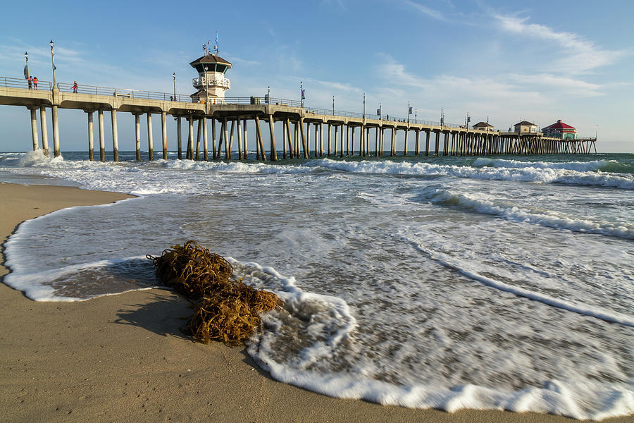 Huntington Beach Pier and Seaweed Photograph by John Daly