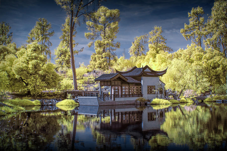 Huntington Chinese Botanical Garden in California in Infrared Photograph by Randall Nyhof