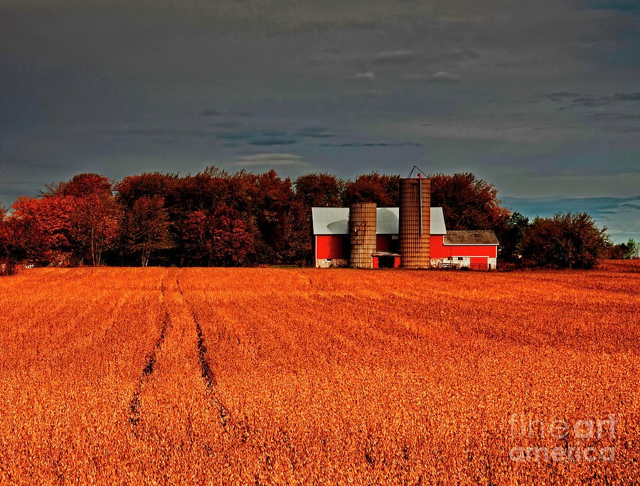 Huntley,  LongMeadow,  Barn, Bean, field, fall Photograph by Tom Jelen
