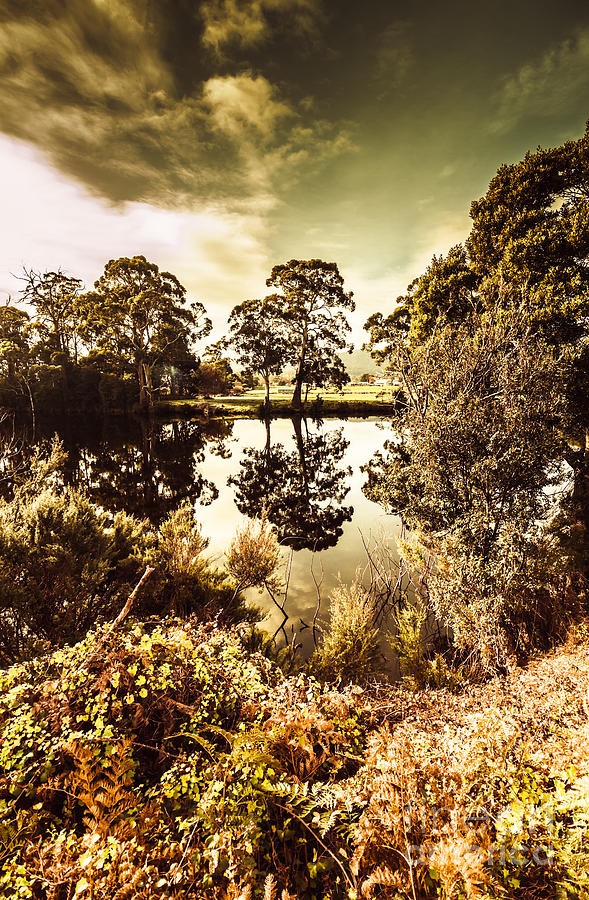 Huonville river reflections Photograph by Jorgo Photography