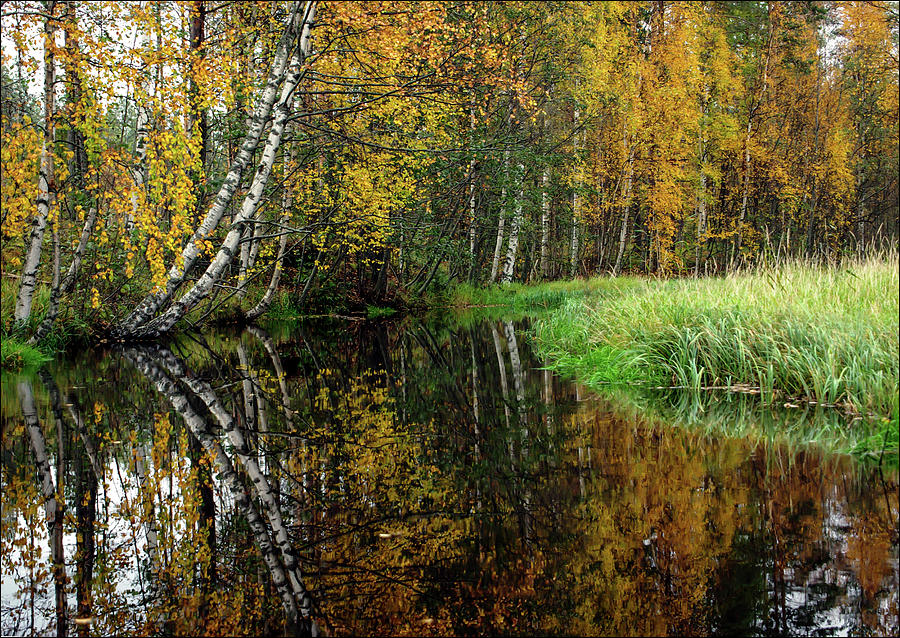 Huosiosjoki River  Photograph by Jarmo Honkanen