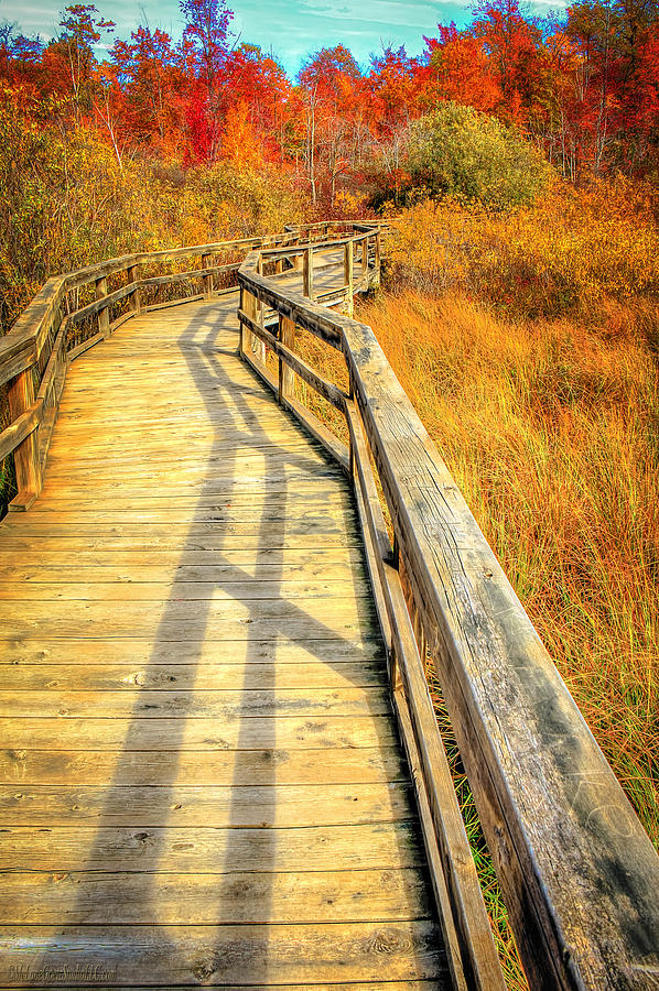 Fall Photograph - Huron County Nature Center Boardwalk Marsh by LeeAnn McLaneGoetz McLaneGoetzStudioLLCcom