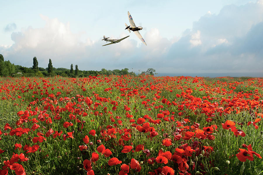 Hurricane and Spitfire over poppy field Photograph by Gary Eason