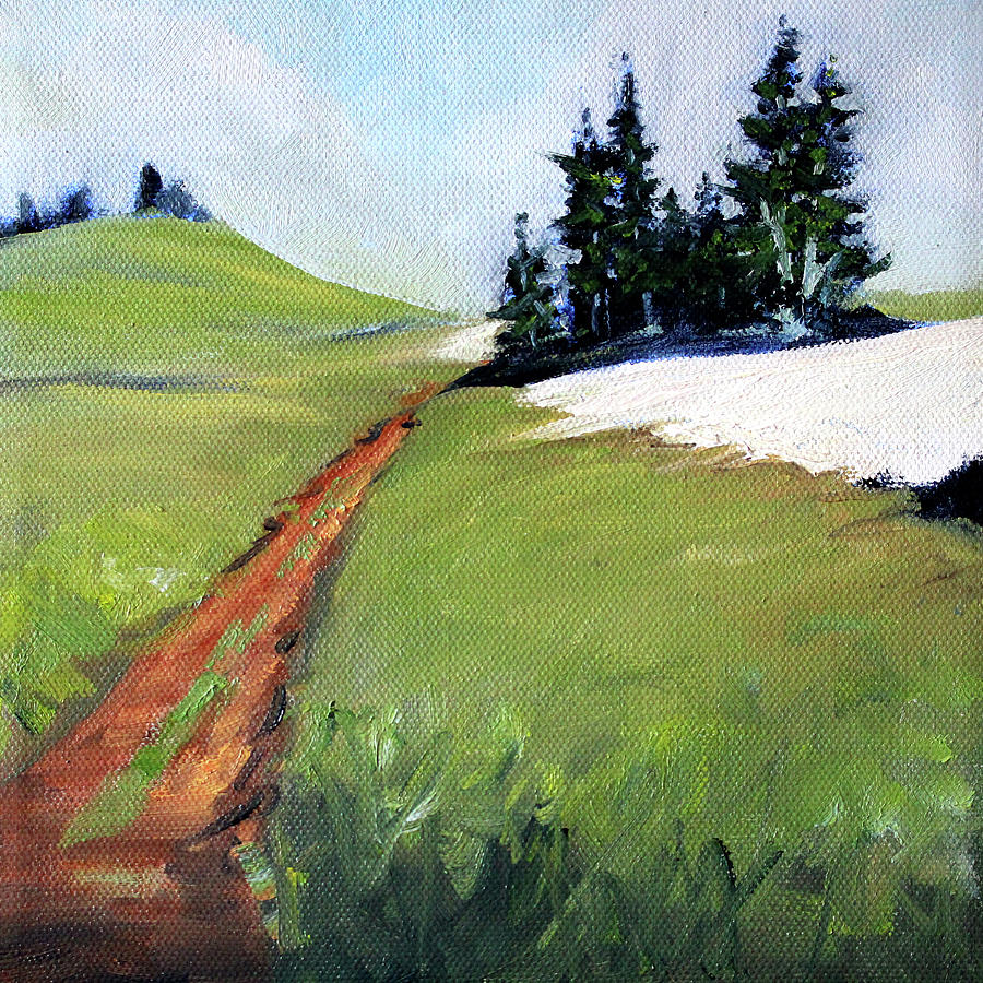 Hurricane Hill Painting by Nancy Merkle