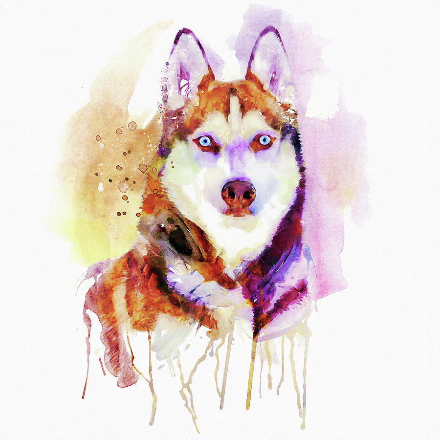 Husky Dog Watercolor Portrait Painting by Marian Voicu