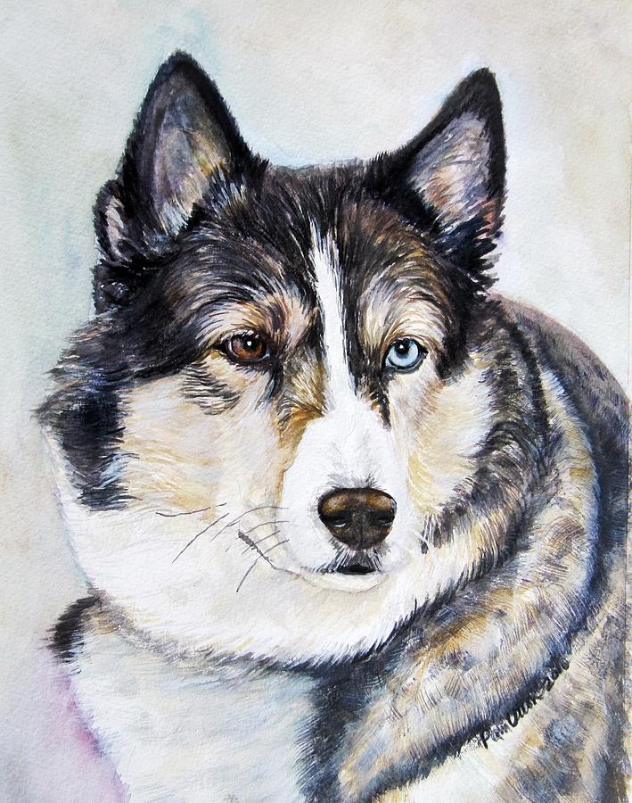 Dog Painting - Husky Eyes by Pam Utton