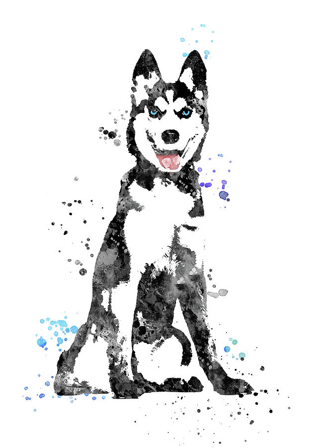 art husky