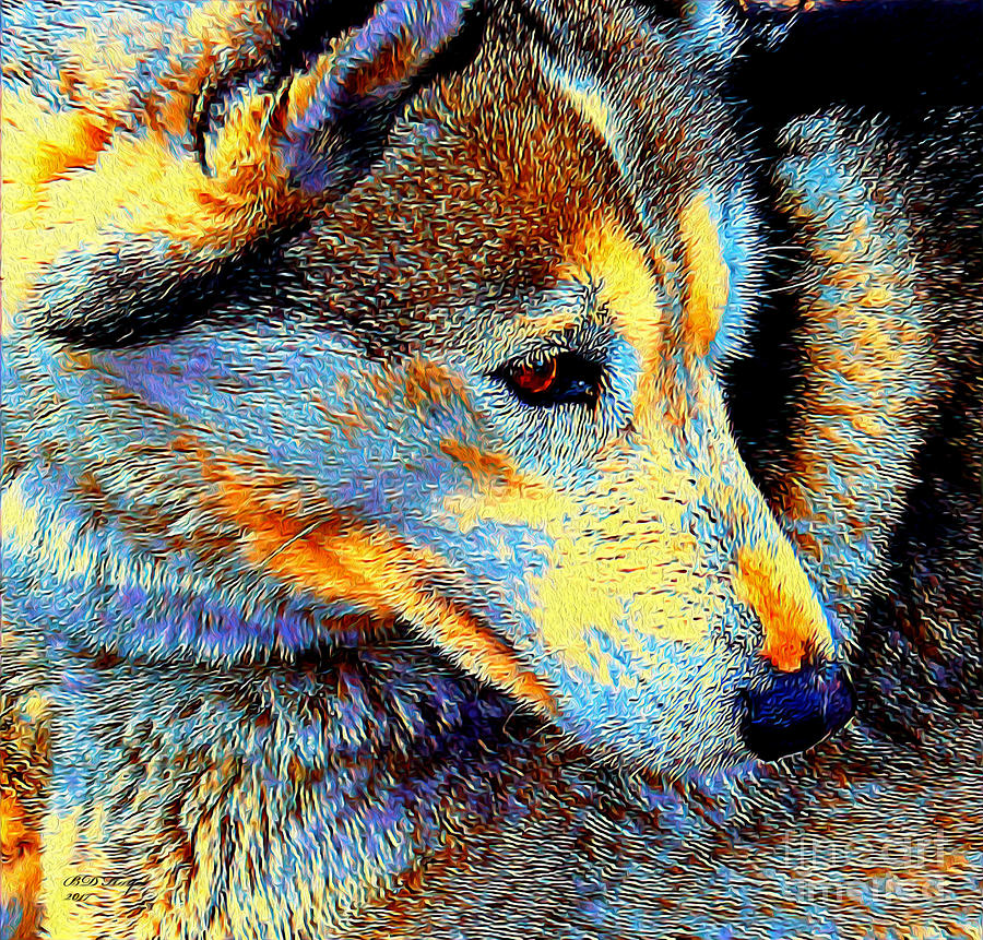 Husky Up Close Digital Art by DB Hayes