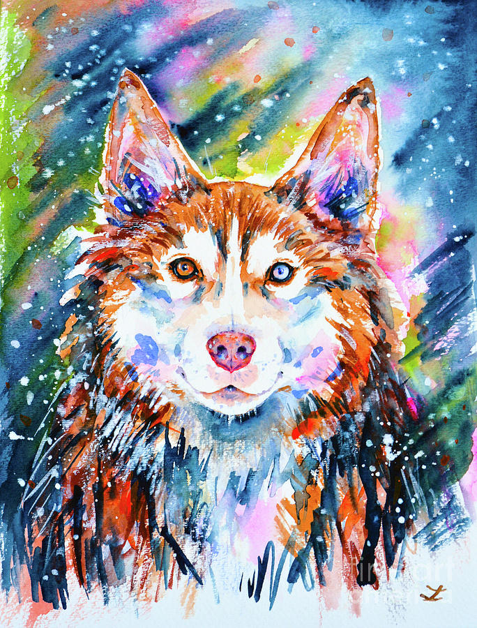 Winter Painting - Husky by Zaira Dzhaubaeva