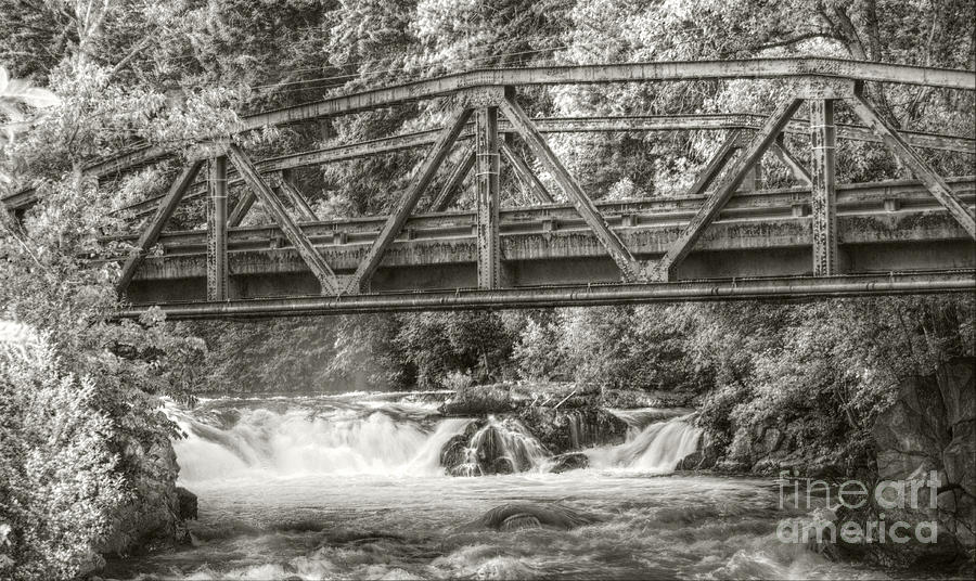 Tree Photograph - Husum Falls on the White Salmon by Kevin Felts