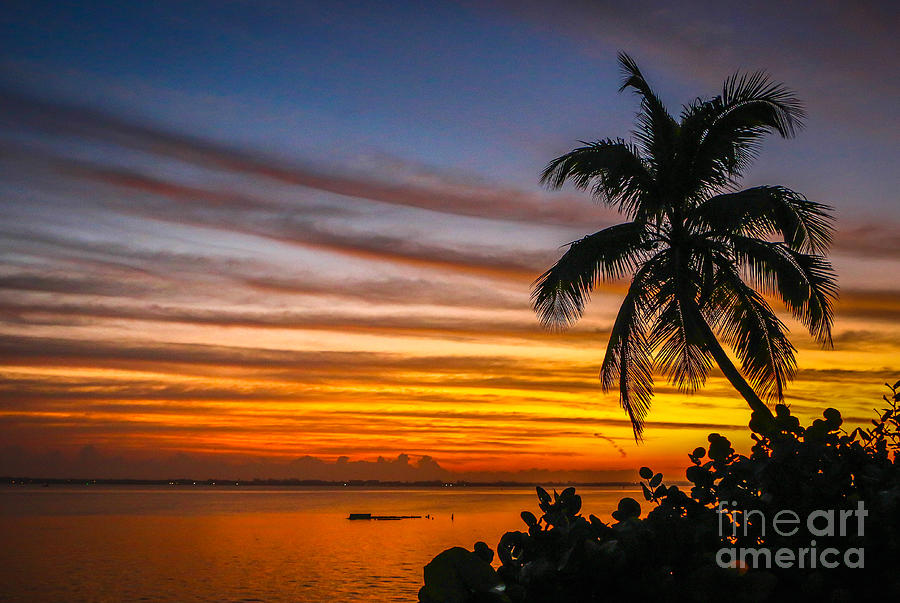 Hutchinson Island Sunrise #1 Photograph by Tom Claud