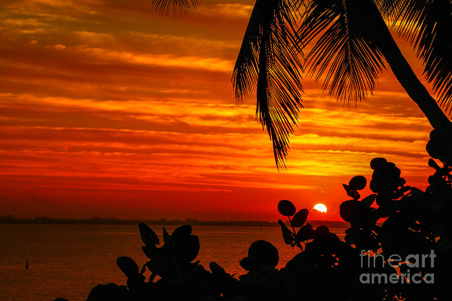 Hutchinson Island Sunrise #3 Photograph by Tom Claud