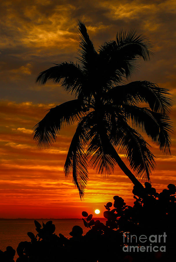 Hutchinson Island Sunrise #4 Photograph by Tom Claud