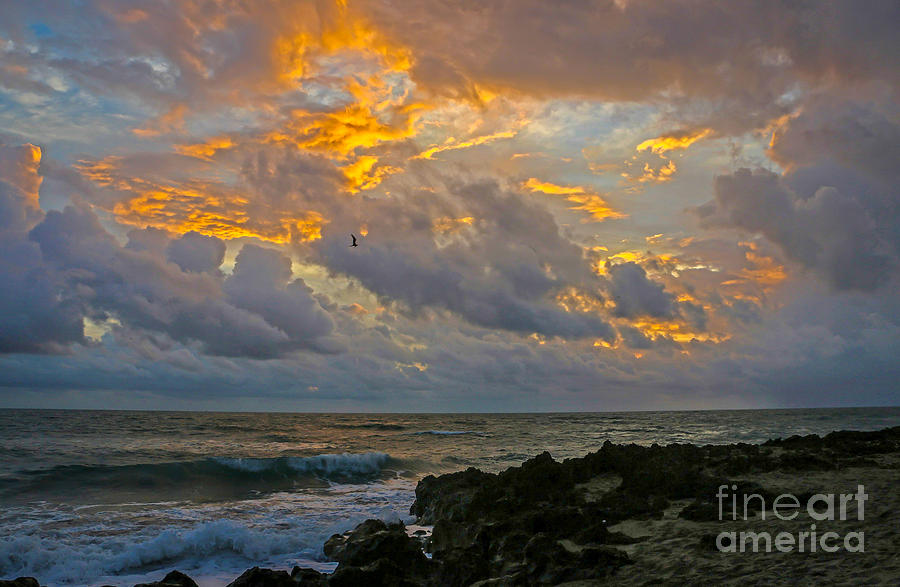 Hutchinson Island Sunrise Photograph by Tom Claud