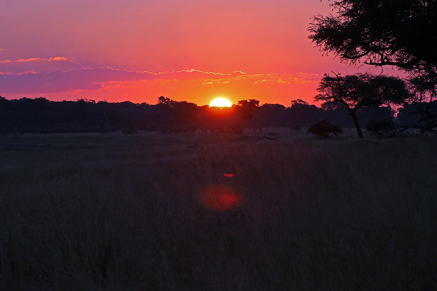 Hwange Sunset Photograph by Tony Murtagh