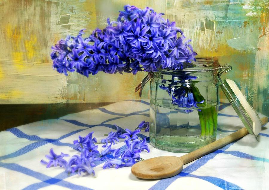 Flower Photograph - Hyacinth by Diana Angstadt