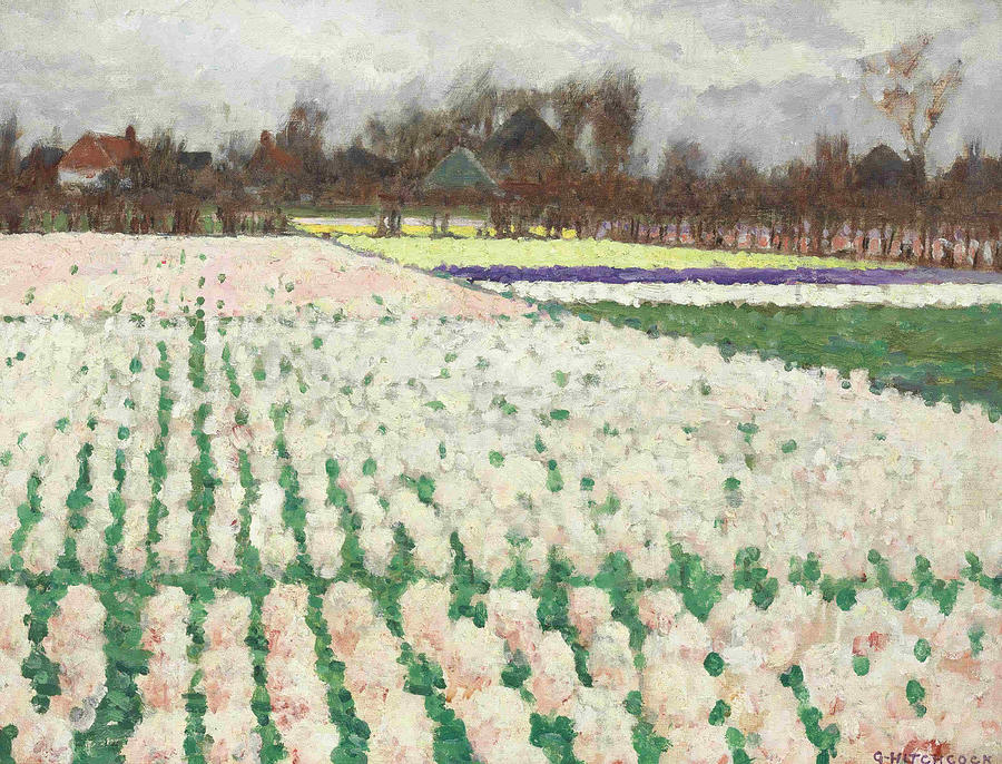 Hyacinth Fields Painting by George Hitchcock