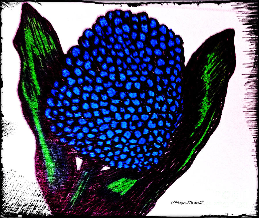 Hyacinth flower   Mixed Media by MaryLee Parker
