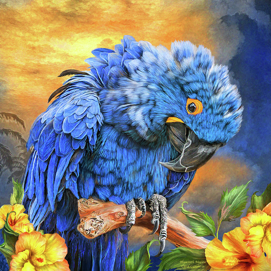 Carol Cavalaris Mixed Media - Hyacinth Macaw by Carol Cavalaris