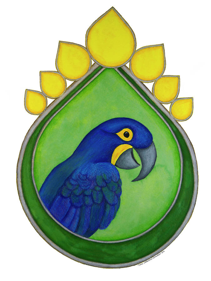 Macaw Drawing - Hyacinth Macaw by Tara Warburton-Schwaber Macaw Drawing - Hyacinth Macaw by Tara Warburton-Schwaber