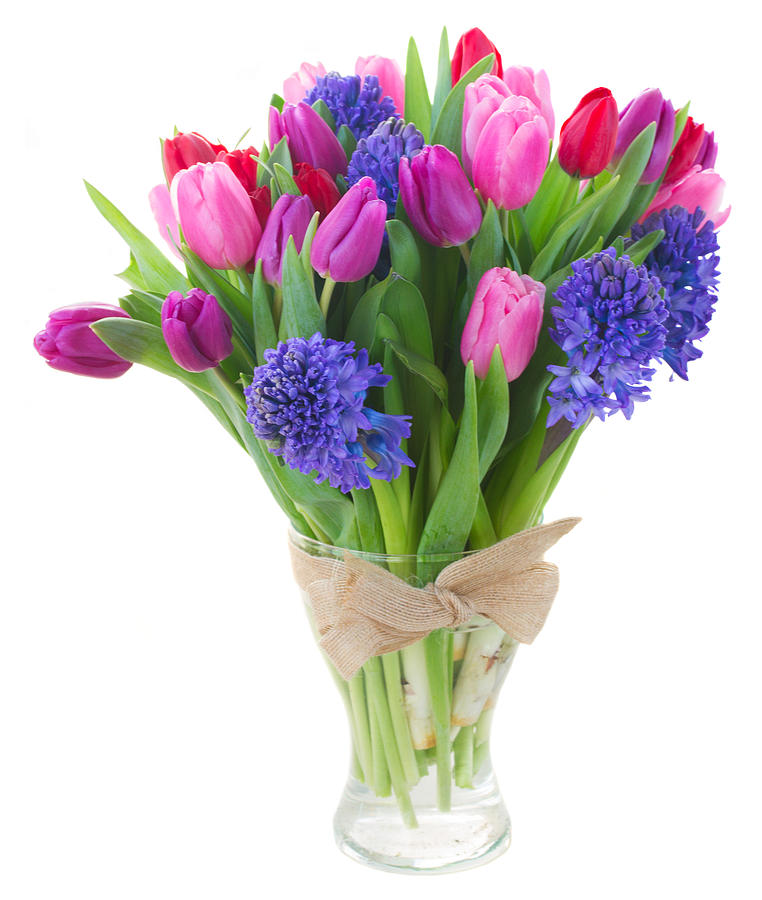 Hyacinths and Tulips in Vase Photograph by Anastasy Yarmolovich