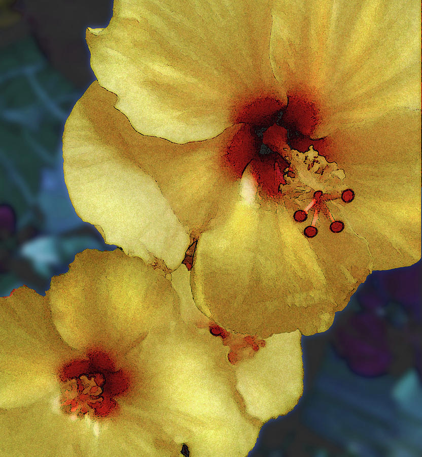 Flower Photograph - Hybiscus #1 by Marianne Hamer