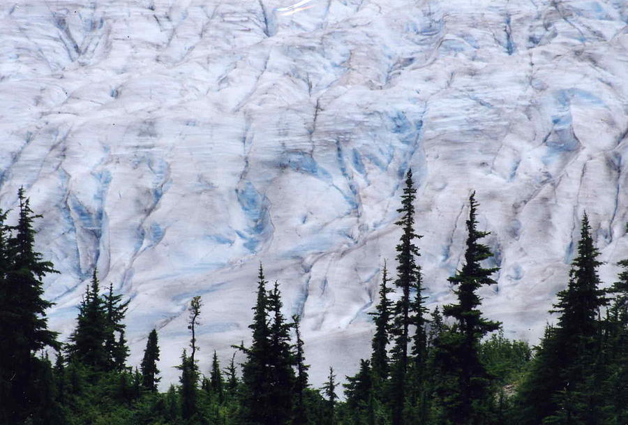 Hyder Alaska Glacier Photograph by Lisa Dunn