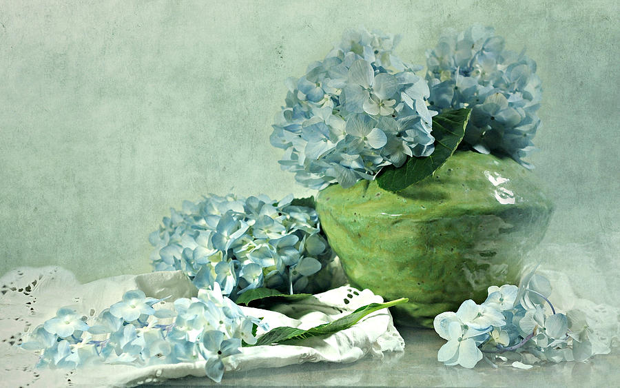 Still Life Photograph - Hydra Blues by Diana Angstadt