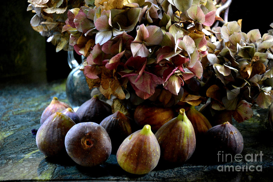 Hydrangea and Figs Still Life  Photograph by Tatyana Searcy