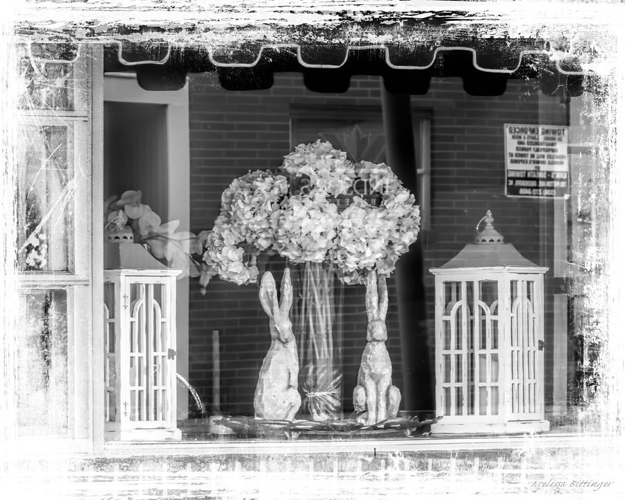 Hydrangea And Hare Black and White Cottage Chic Art Photograph by Melissa Bittinger