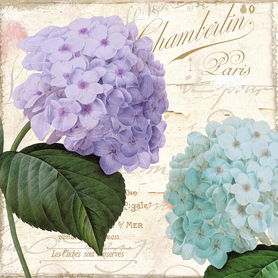 Hydrangea Hortensia Painting by Mindy Sommers