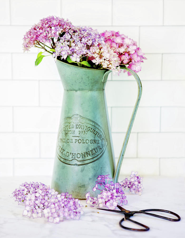 Hydrangea in a Vase Photograph by Rebecca Cozart