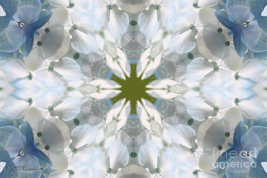 Hydrangea Kaleidoscope Digital Art by J McCombie