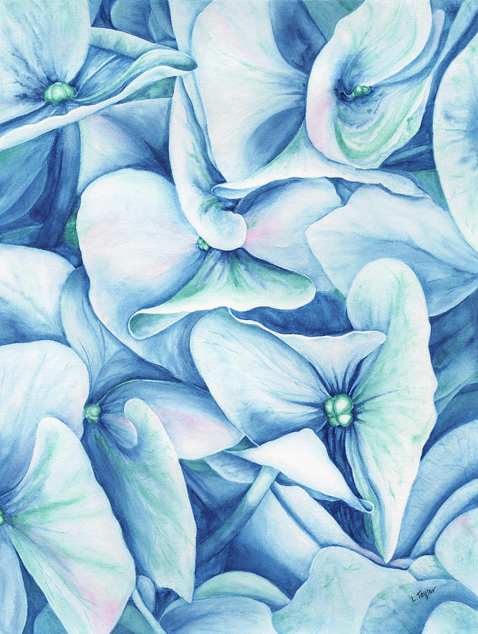 Hydrangea Painting by Lori Taylor