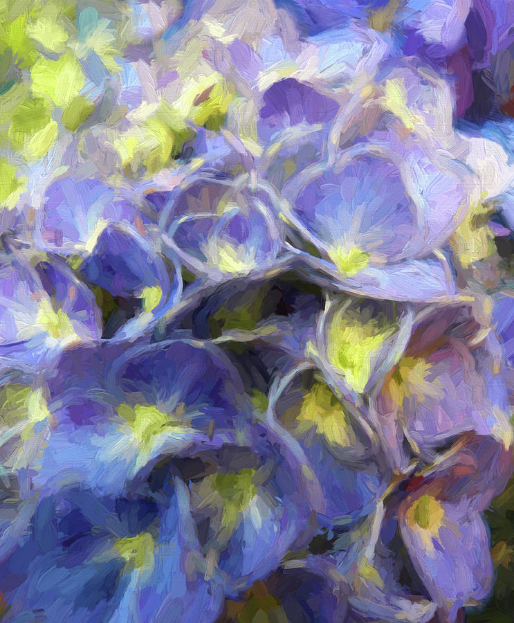 Hydrangea Macro Painted Mixed Media by Sandi OReilly