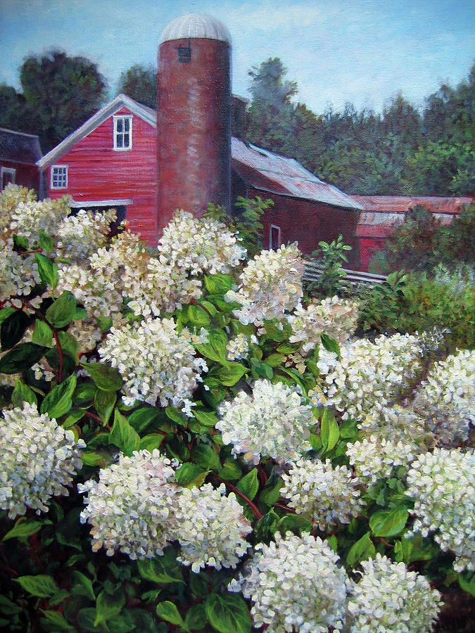Hydrangea and Red Barn Painting by Marie Witte