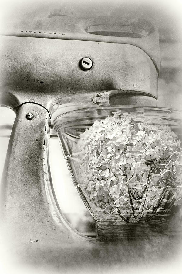 Hydrangea Mix Photograph by Sharon Popek