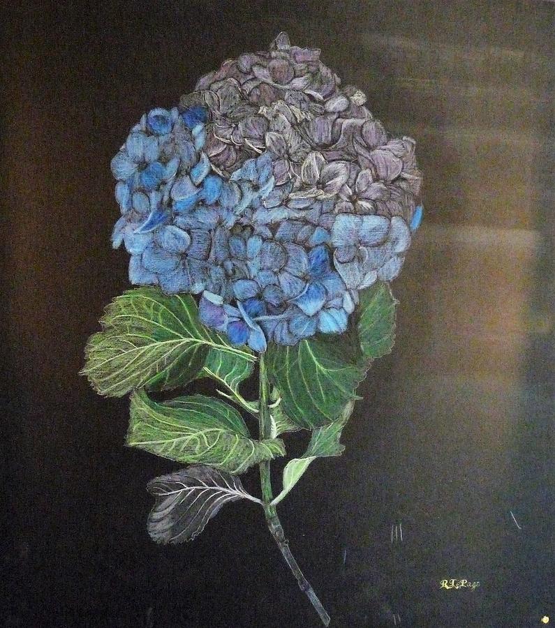 Hydrangea Painting by Richard Le Page