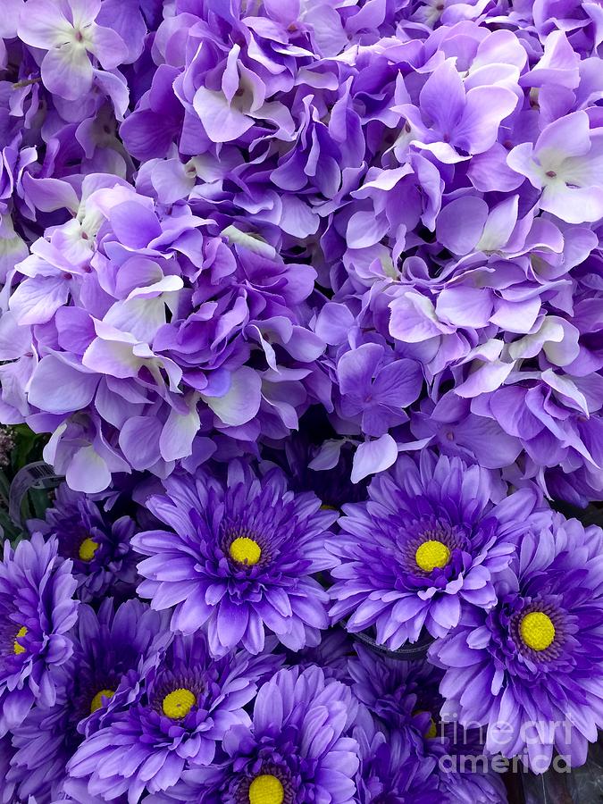 Flower Painting - Hydrangeas and Daisies so Purple by Saundra Myles