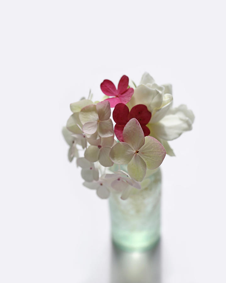 Hydrangeas and Gardenia in Aqua Glass Bottle Photograph by Brooke T Ryan