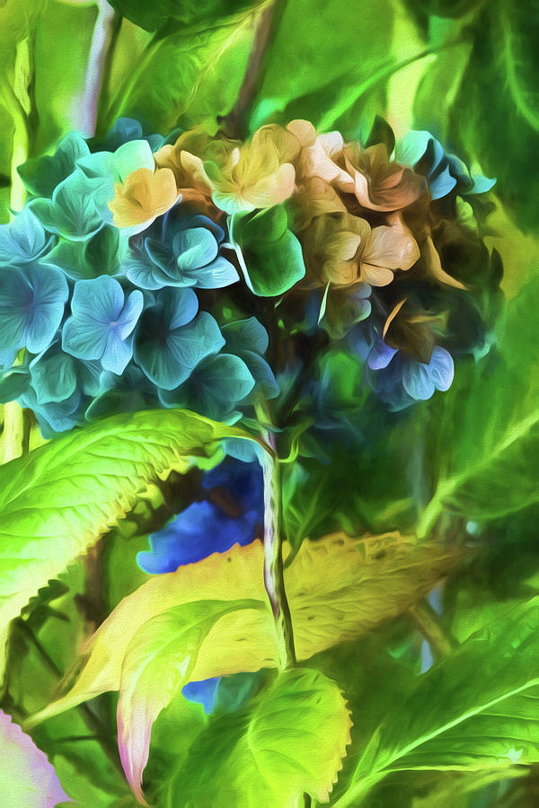 Hydrangeas Painting by Bonnie Bruno