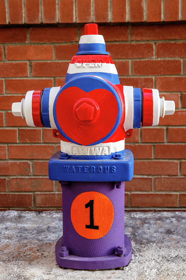 Hydrant Number One Photograph by James Eddy