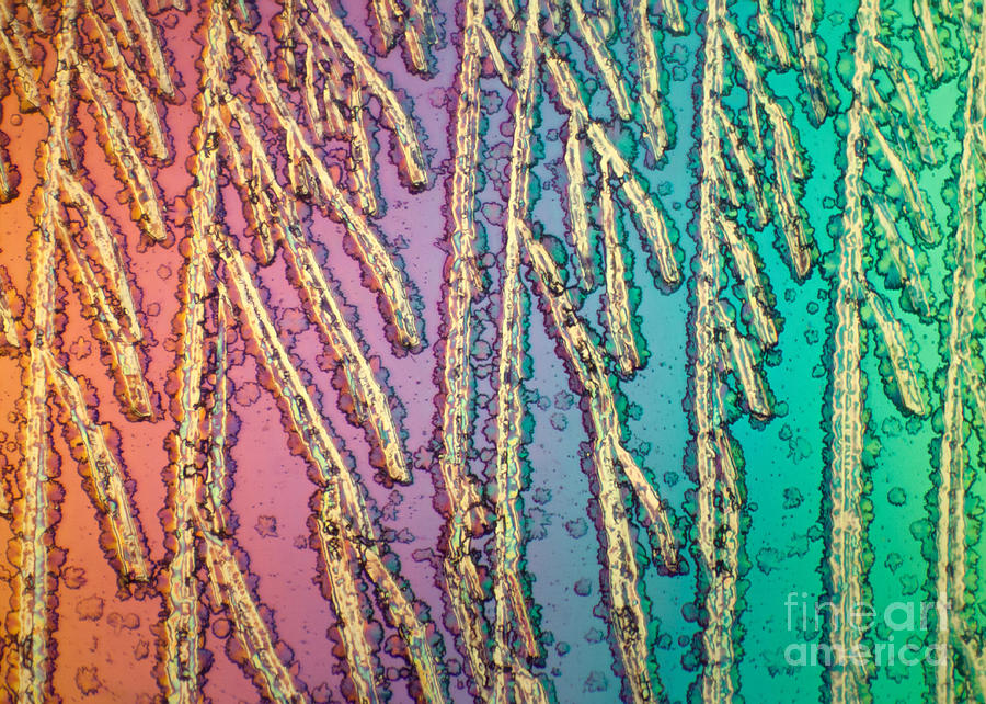 Hydroponic Chemicals In Polarized Photograph by Ted Kinsman