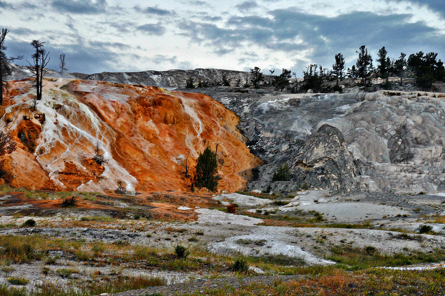 Hymen Terrace at Mammoth Hot Springs - Yellowstone National Park WY Photograph by Alexandra Till