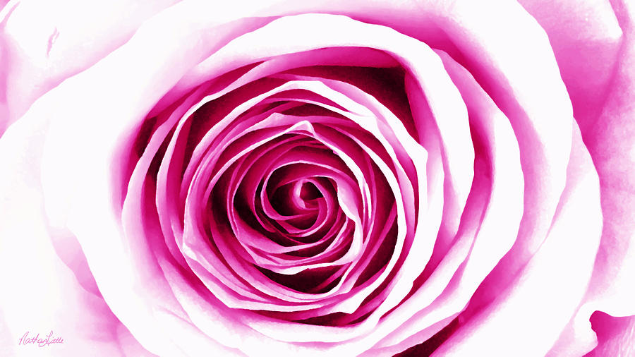 Hypnotic Pink Photograph by Nathan Little