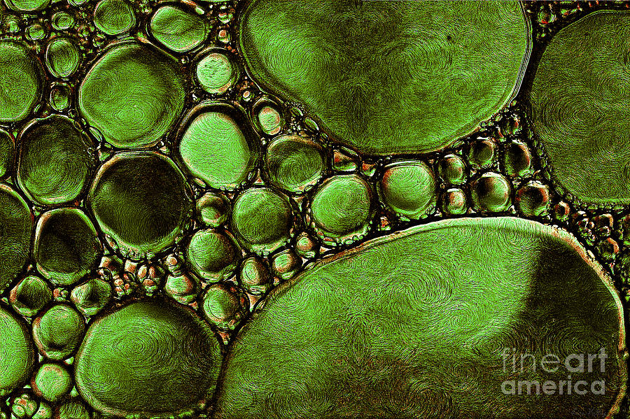 Parasite Mixed Media - Hypothetica Parasitus by Lita Kelley Parasite Mixed Media - Hypothetica Parasitus by Lita Kelley
