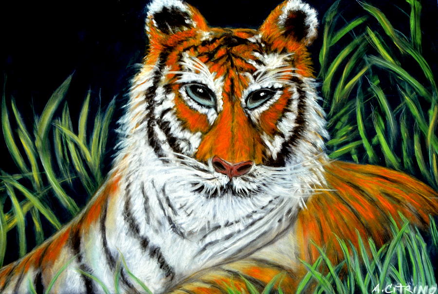 Tiger Pastel - I A M by Antonia Citrino